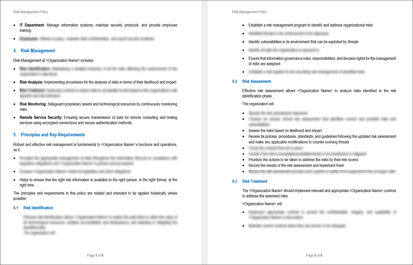 Risk Management Policy 