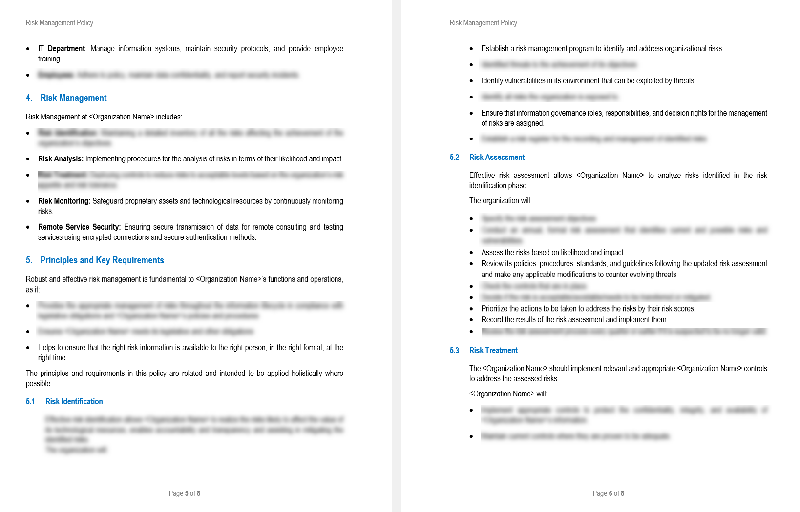 Risk Management Policy 